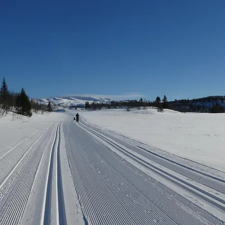Schöne Fjellhytte Semesterbostad *