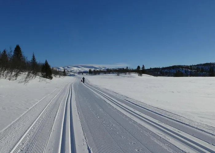Neue Fjellhytte Feriehus *