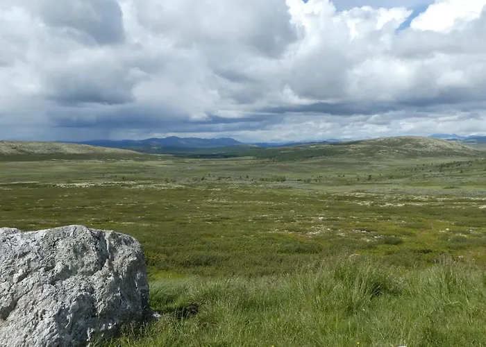 Neue Fjellhytte Feriehus Etnedal