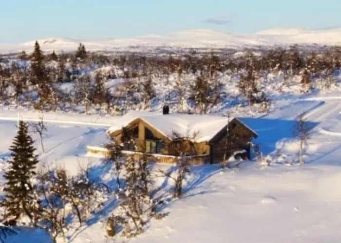 Neue Fjellhytte Hébergement de vacances Etnedal
