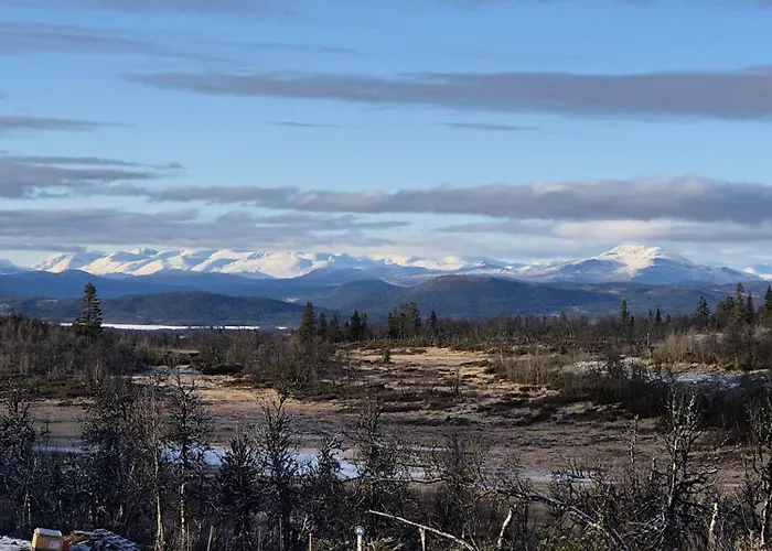 Hébergement de vacances Neue Fjellhytte Etnedal