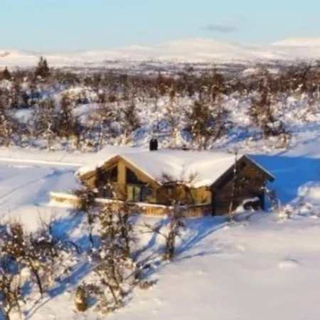 Neue Fjellhytte Holiday home Etnedal