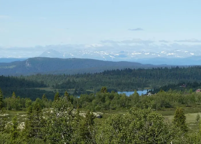 Neue Fjellhytte בית נופש *