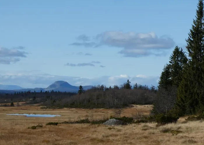 Neue Fjellhytte בית נופש