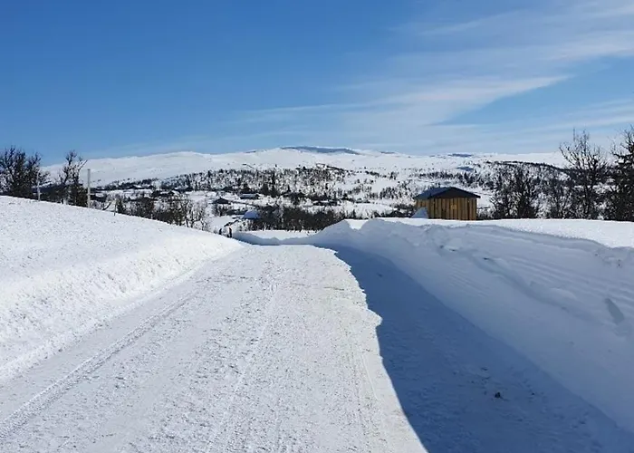 Neue Fjellhytte Etnedal