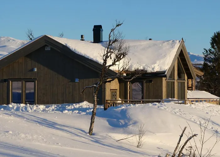 Neue Fjellhytte בית נופש