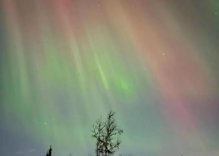 Neue Fjellhytte בית נופש *